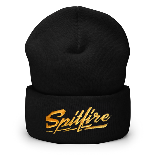 Cuffed Beanie